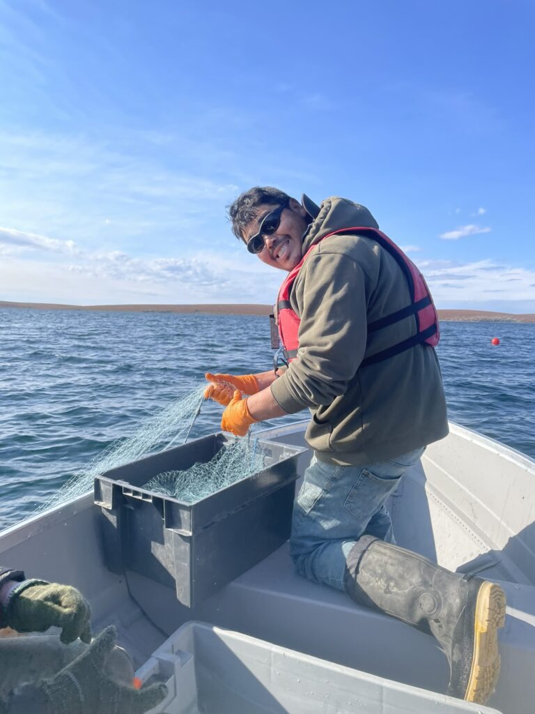 Ian Zoe from Tłı̨chǫ Logistics Inc., using monofilament gillnets to gather large-body fish. 